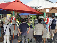 090815_イベントセリ１.JPG