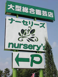 nurserys.jpg