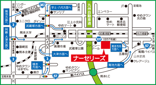 NEWナーセリーズ地図.jpg