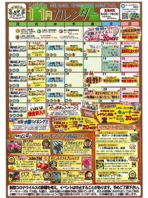11月イベントカレンダー
