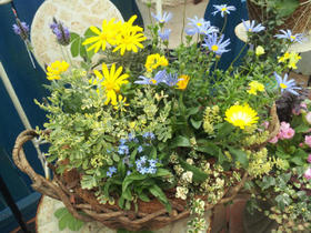 20120211182944.jpg