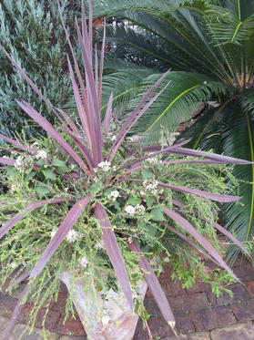 20121002131309.jpg