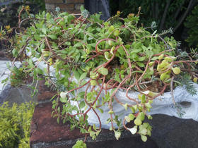 20121004_122813.jpg