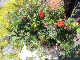 20121009102605.jpg