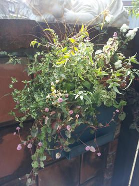20121023132815.jpg