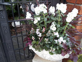 20121023170408.jpg