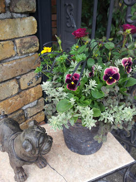 20121025131139.jpg