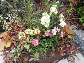 20121030104745.jpg