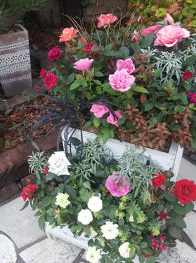 20121106095420.jpg