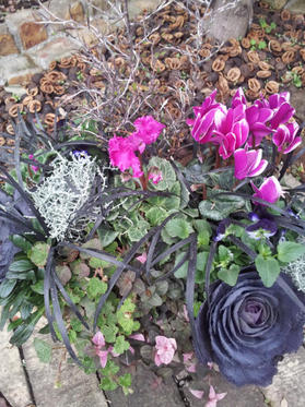 20121107084042.jpg
