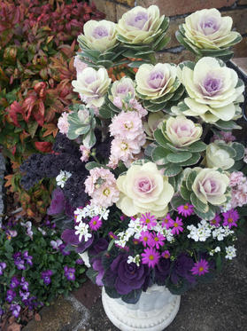 20121203115549.jpg