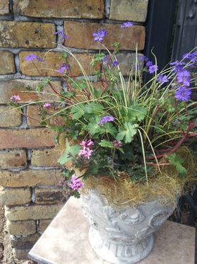 20130405125641.jpg