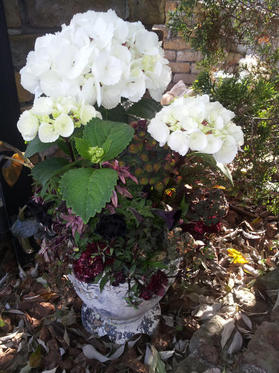 20130408161538.jpg