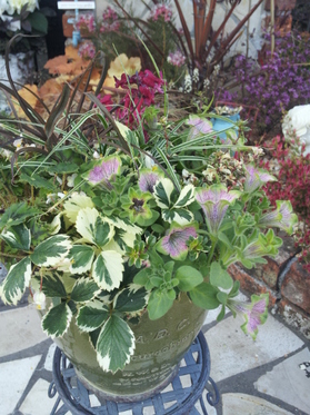 20130426174153.jpg