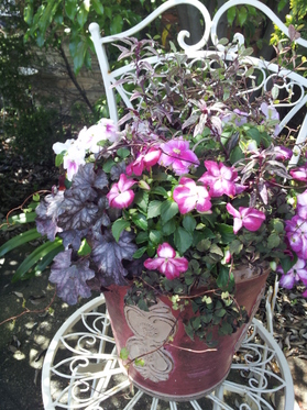 20130502131003.jpg