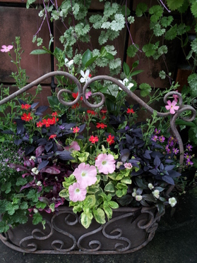 20130605151235.jpg