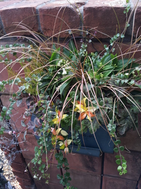 20131102094701.jpg