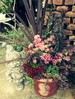 アンティーク・オータムカラーの寄せ植え