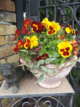 20131115103335.jpg