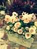 フェアリーチュール・リーベの寄せ植え