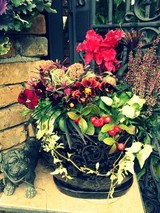 X'mas寄せ植え～2013～
