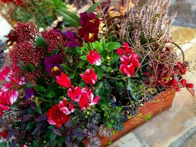 20141124_081137.jpg