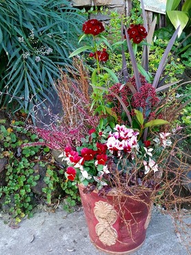 20141124_081805.jpg