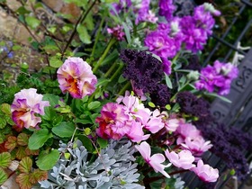 20141124_160709.jpg