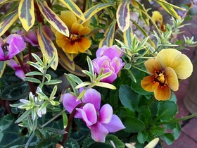 20141211190530.jpg