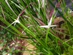 20150716194020.jpg