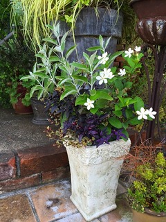 20150803182505.jpg