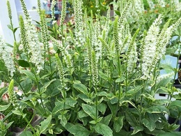 20160925140010.jpg