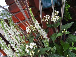 20160929145530.jpg