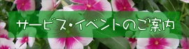 メール会員募集中