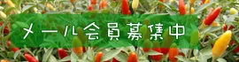 交通アクセス