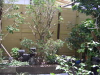 091022_blog_mekakusi_wafuu.JPG