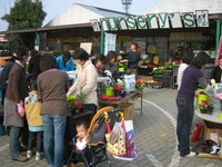 IMG_3176.JPG