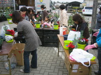 IMG_3182.JPG