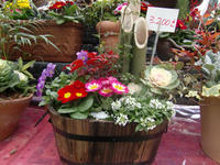 101215_blog_yoseue1.JPG