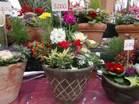 101215_blog_yoseue2.JPG