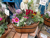 101215_blog_yoseue3.JPG