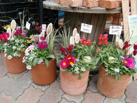 101215_blog_yoseue5.JPG