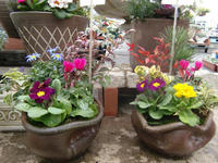101215_blog_yoseue6.JPG