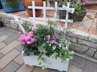 2011102913.jpg