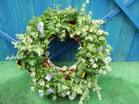 2011102915.jpg