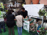 2011102917.jpg