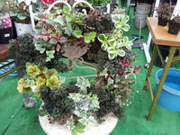 2011102919.jpg