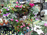 2011102920.jpg