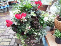 201110298.jpg