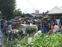 20120503bikkuriiti.jpg